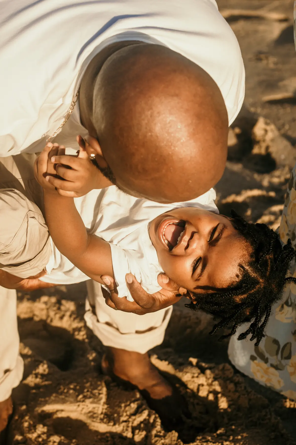 Featured Collection — photograph 15